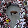 Photos, Video: Rex Ryan Runs With The Bulls In Pamplona